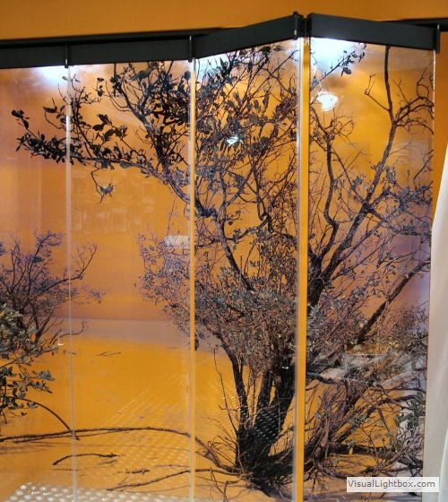 Decorated folding glass doors